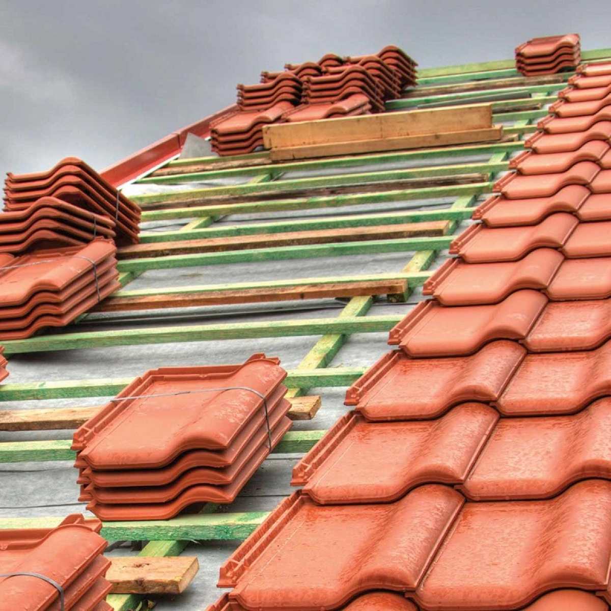 afp roofing battens Image by Websters Timber